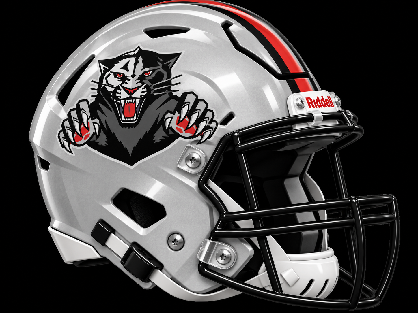 Paisley Panthers helmet
